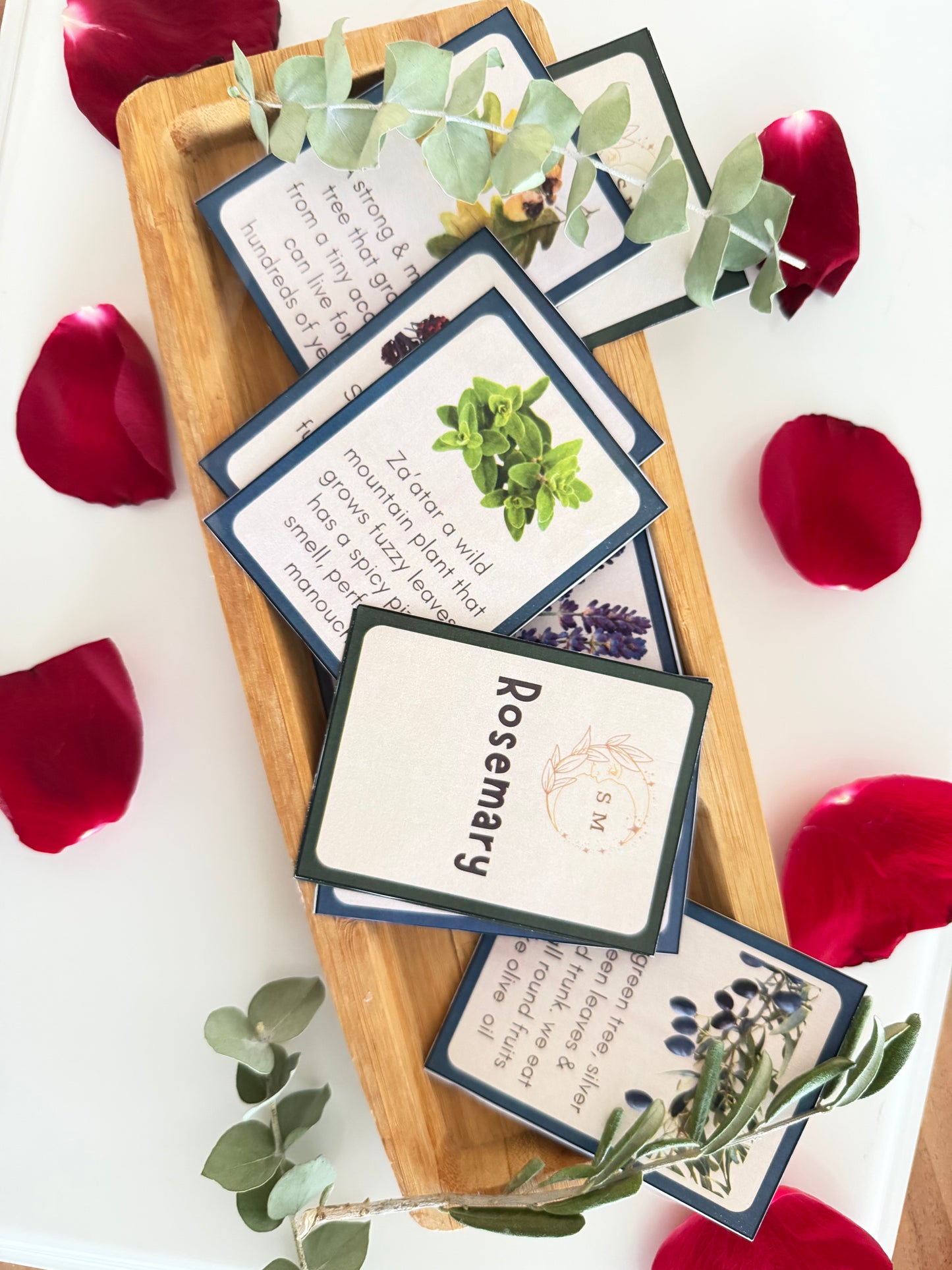 Levantine Nature Cards