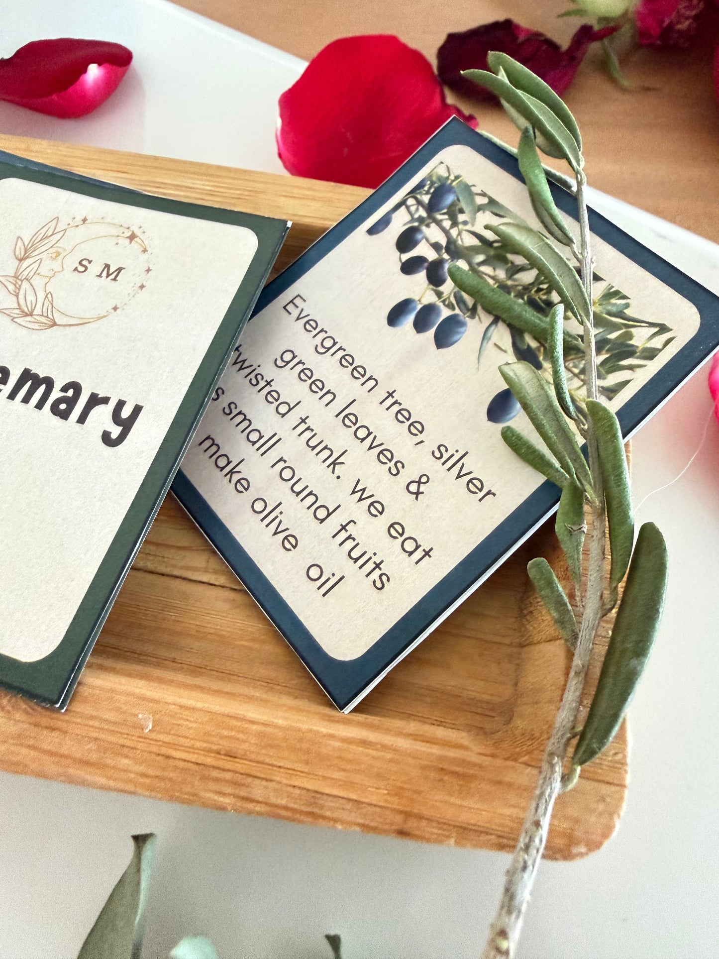 Levantine Nature Cards