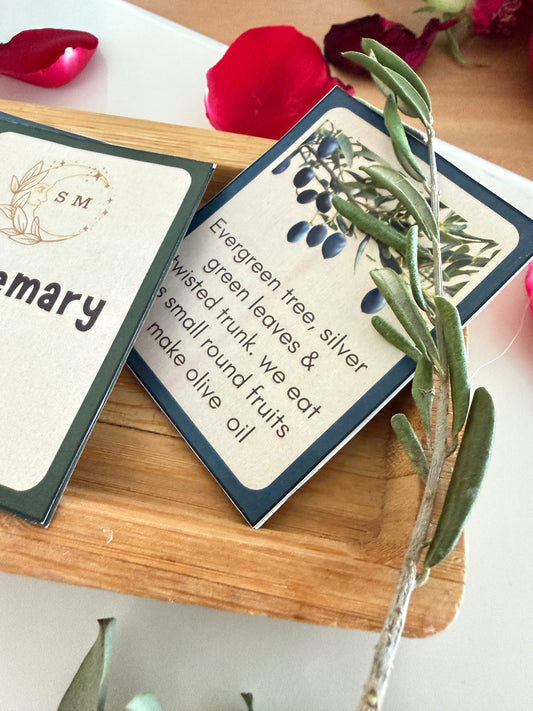 Levantine Nature Cards