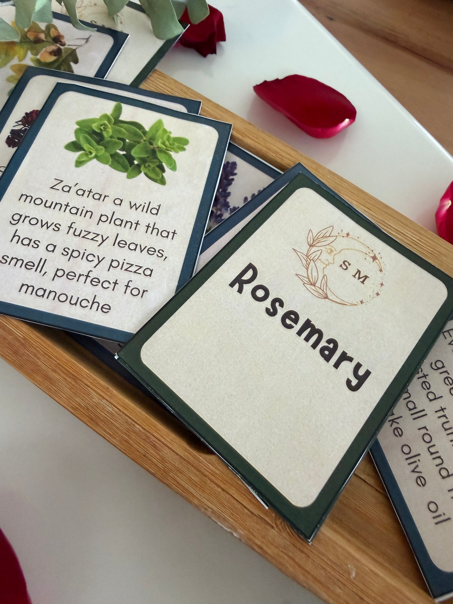 Levantine Nature Cards